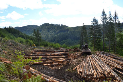 logging